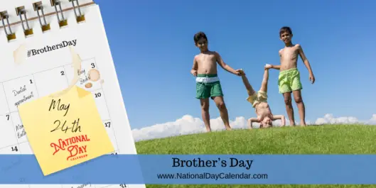 East Ridge MS tweet media