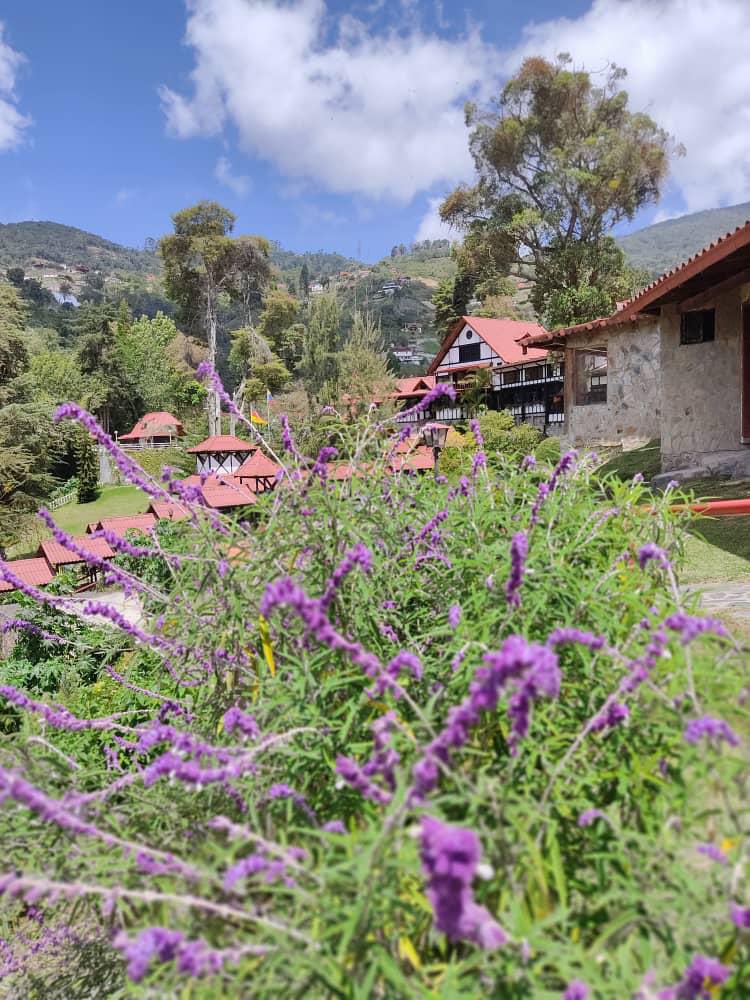 HotelSelvaNegra's tweet photo. El #hotelselvanegra es la opción perfecta para tu tranquilidad en el lugar más confortable y céntrico de @lacoloniatovar 

Escríbenos a nuestro WhatsApp para más información 📲 https://t.co/X6QXiSsmJQ…

¡Te esperamos! 🤩 

#coloniatovar #Aragua #Venezuela https://t.co/QcvoilaDh5