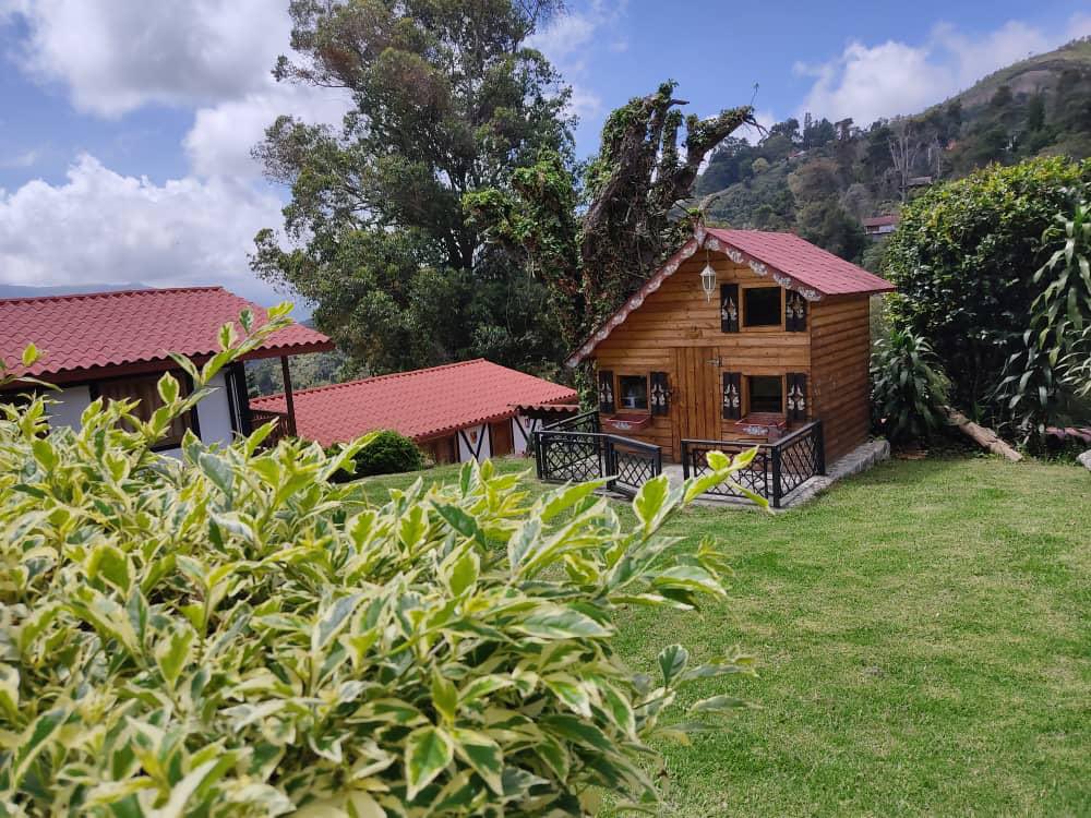 HotelSelvaNegra's tweet photo. El #hotelselvanegra es la opción perfecta para tu tranquilidad en el lugar más confortable y céntrico de @lacoloniatovar 

Escríbenos a nuestro WhatsApp para más información 📲 https://t.co/X6QXiSsmJQ…

¡Te esperamos! 🤩 

#coloniatovar #Aragua #Venezuela https://t.co/QcvoilaDh5