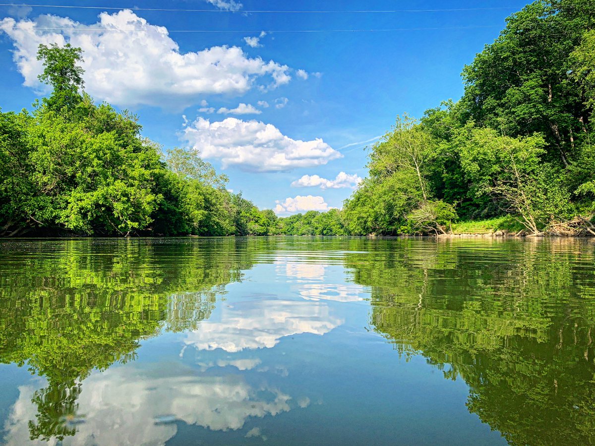 AshevilleNomads's tweet image. #PaddleboardAdventures // Any reality with this kind of view is fine by us! #AshevilleNomads
•
•
#paddleboarding #asheville #avl #wnc #frenchbroadriver