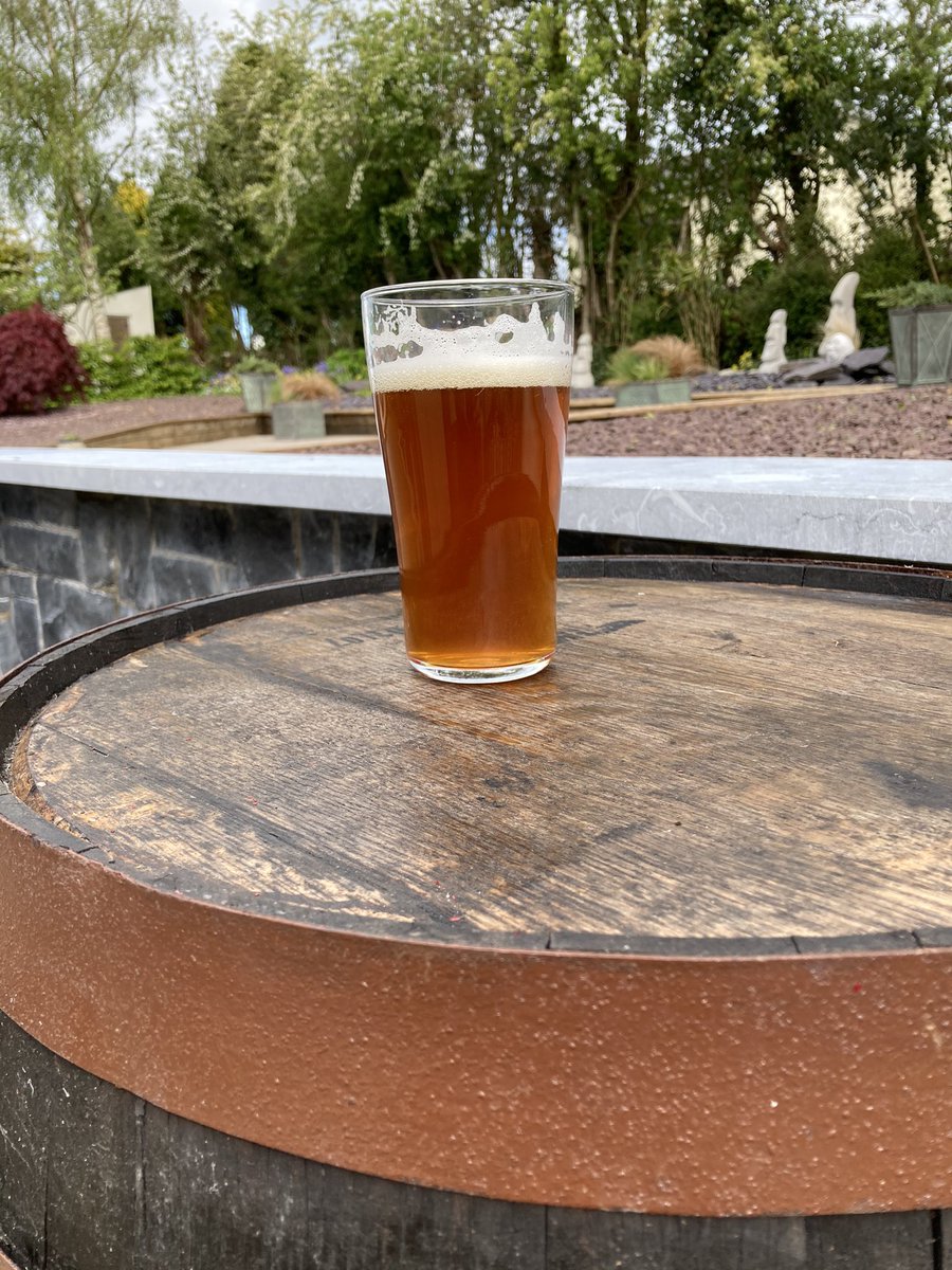 A pint of home brewed pilsner. How bad.