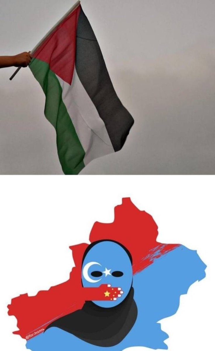 deniziti's tweet photo. #GazaUnderAttackk https://t.co/UKrStQkgB1
