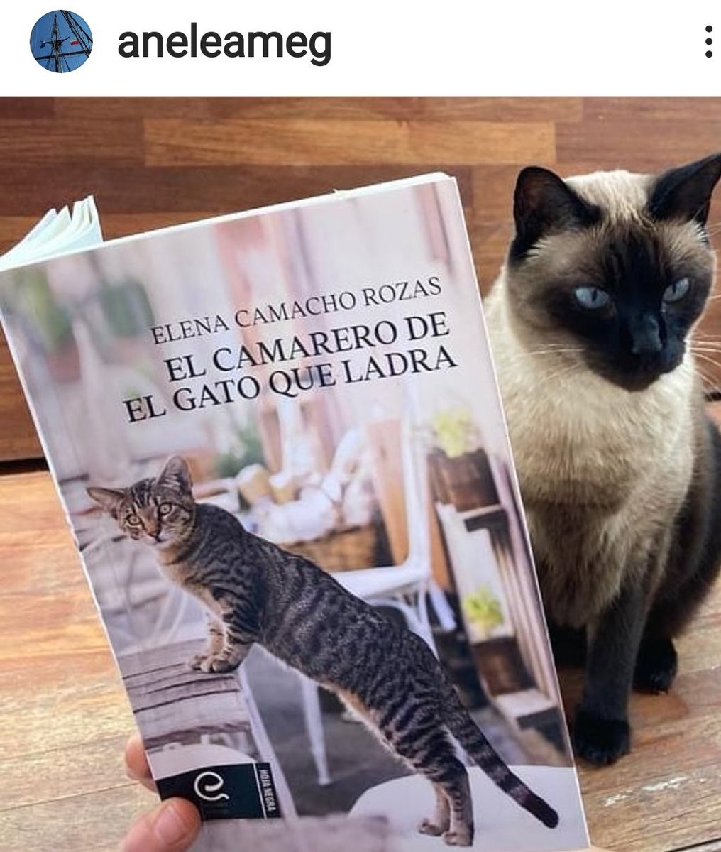 Elena Camacho (@aneleameg) on Twitter photo 