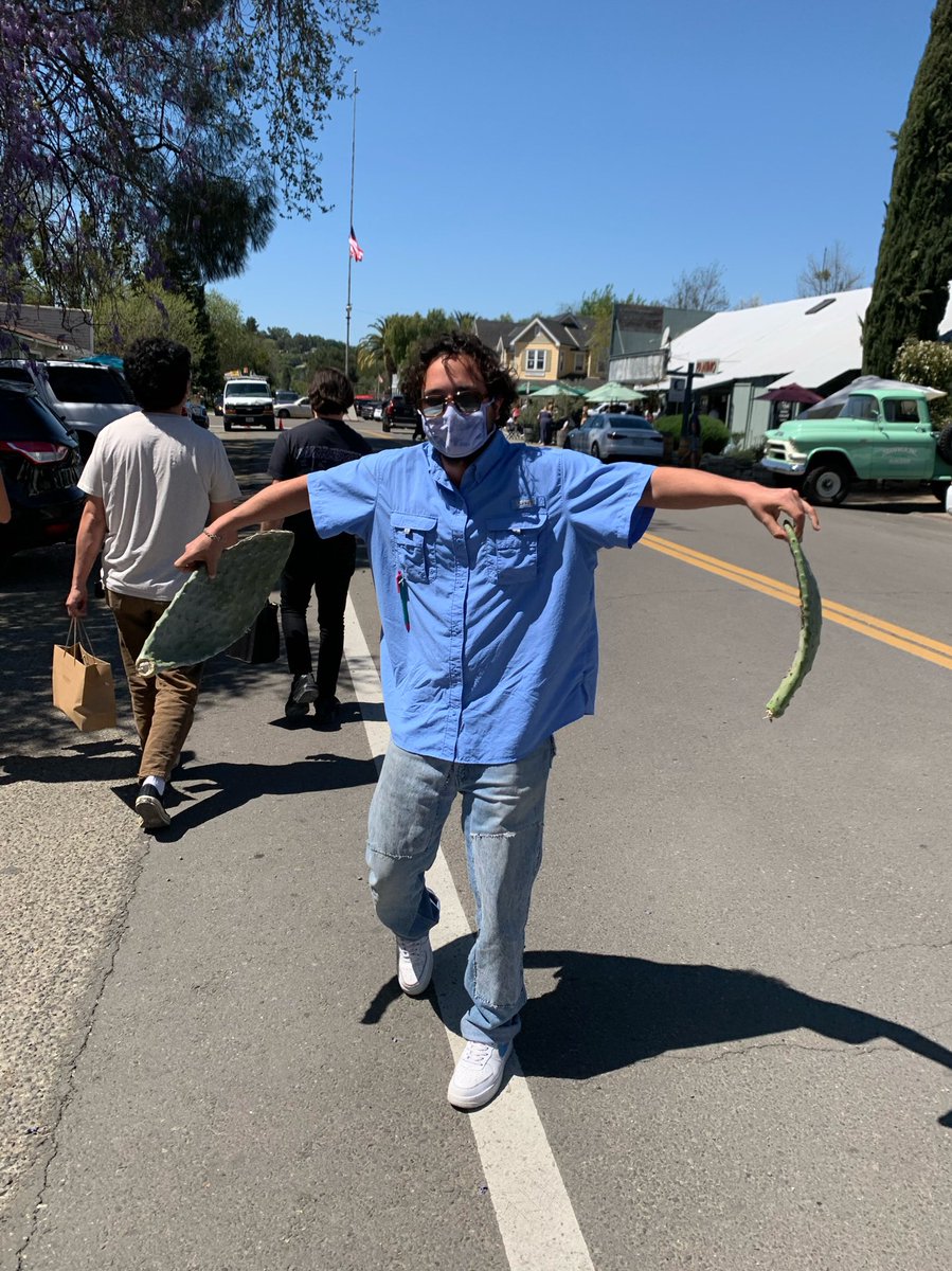 dmolayem's tweet photo. Picked this cutting up off the side of the road in Solvang and look what it’s done today 🌼🥲 https://t.co/11iGmaPoUh