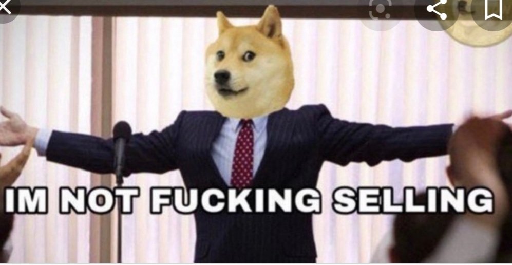 Flixfer2's tweet photo. @elonmusk @dogecoin_devs https://t.co/avy08vPCHn