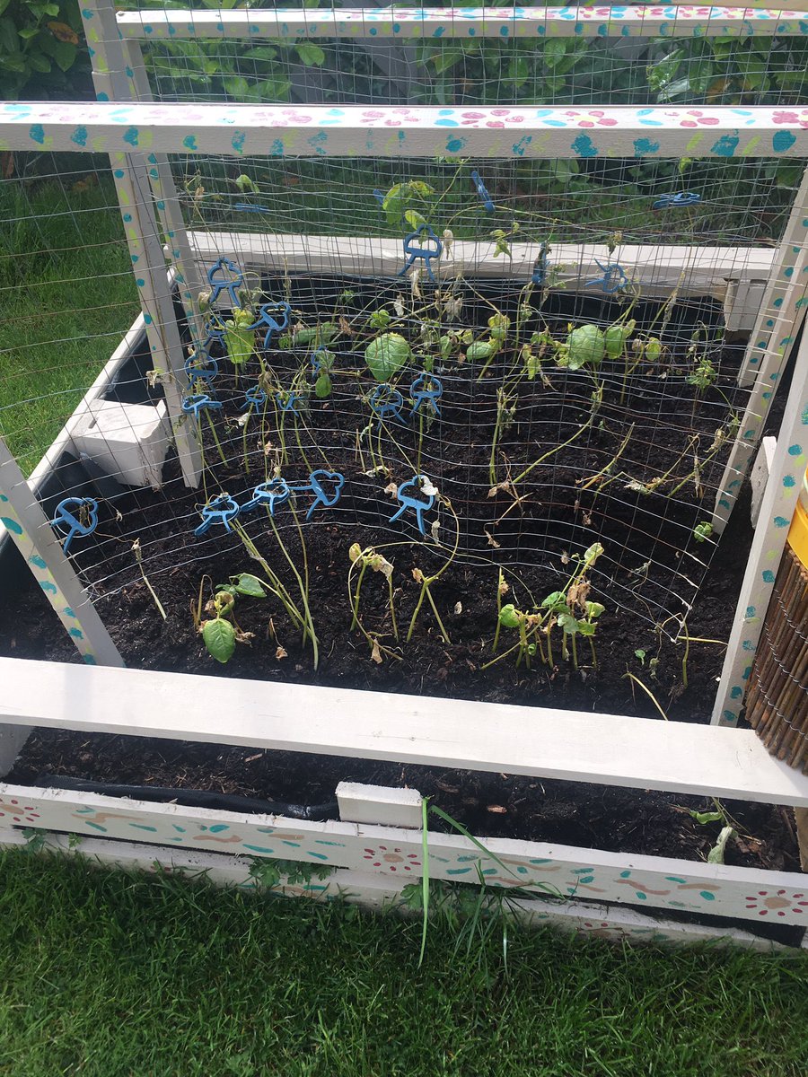 GalwayFairytale's tweet image. Oh well. At least I tried! 

#disgusting #WhenIsSummer