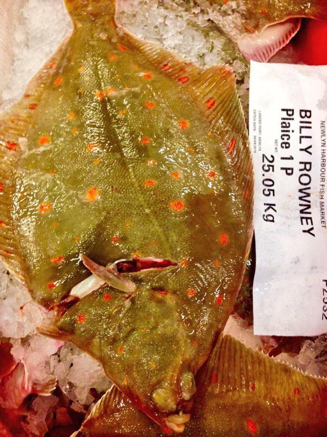 NewlynFishing's tweet photo. Making a Major Contribution to Tuesday #NewlynMkt Auction BigBoy’ #BeamTrawler ‘BillyRowney’ with its usual #QualityPrime #FreshCornish Mix!! .... #SupportUkFishmongers @NFF_fishmongers @StevensonNewlyn  #EatMoreFish https://t.co/yDNCMJPxV2