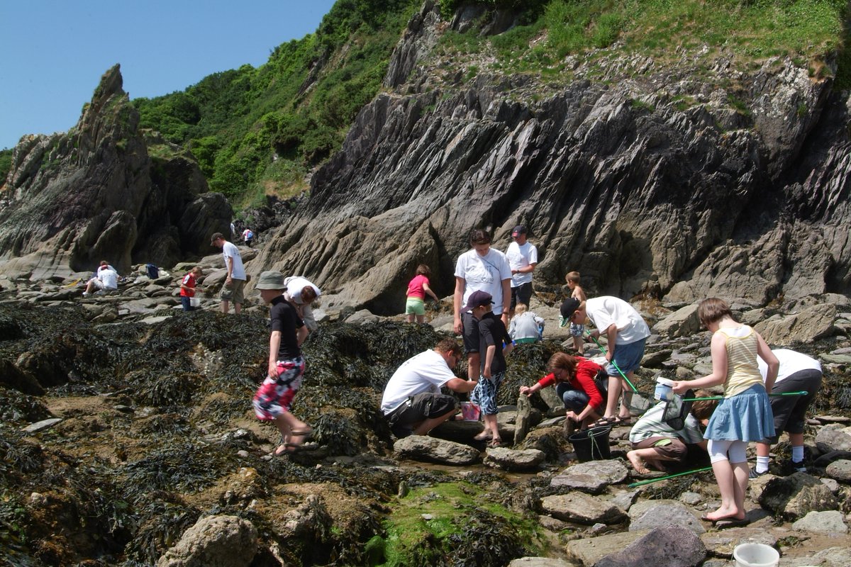 NHM_CitSci's tweet photo. Looking for half term activities? Head to the coast and help @NHM_London monitor the impacts of environmental change by taking part in the Big Seaweed Search. Going out as a small group? Take a look at our new resource https://t.co/9aGhyWcQcN 
@SeaCadetsUK 
@UKScouting https://t.co/fjfyu17wd9