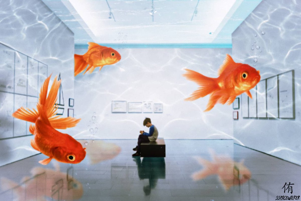 Sspacewalker_'s tweet photo. Drowning in an ocean of you🌊
•
•
[Tags]
#photoshop #aftereffects #saturation #contrast #digitalart #art #digital #digital2d #aquarium #aqua #fish #underwater #drowning #drown #photoedit #mattepainting #world https://t.co/60fVAyGfvZ