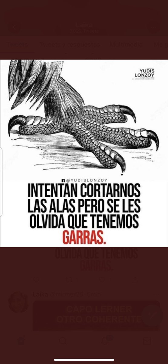 ElsaKekita's tweet photo. ARGENTINOS: CORONADOS DE GLORIA VIVAMOS!!!!!! LIBERTAD!! LIBERTAD!!!! LIBERTAD!!!!!!! 🇦🇷🇦🇷🇦🇷🇦🇷🇦🇷🇦🇷🇦🇷🇦🇷🇦🇷🇦🇷🇦🇷🇦🇷🇦🇷🇦🇷 https://t.co/pEbyM1cfSU