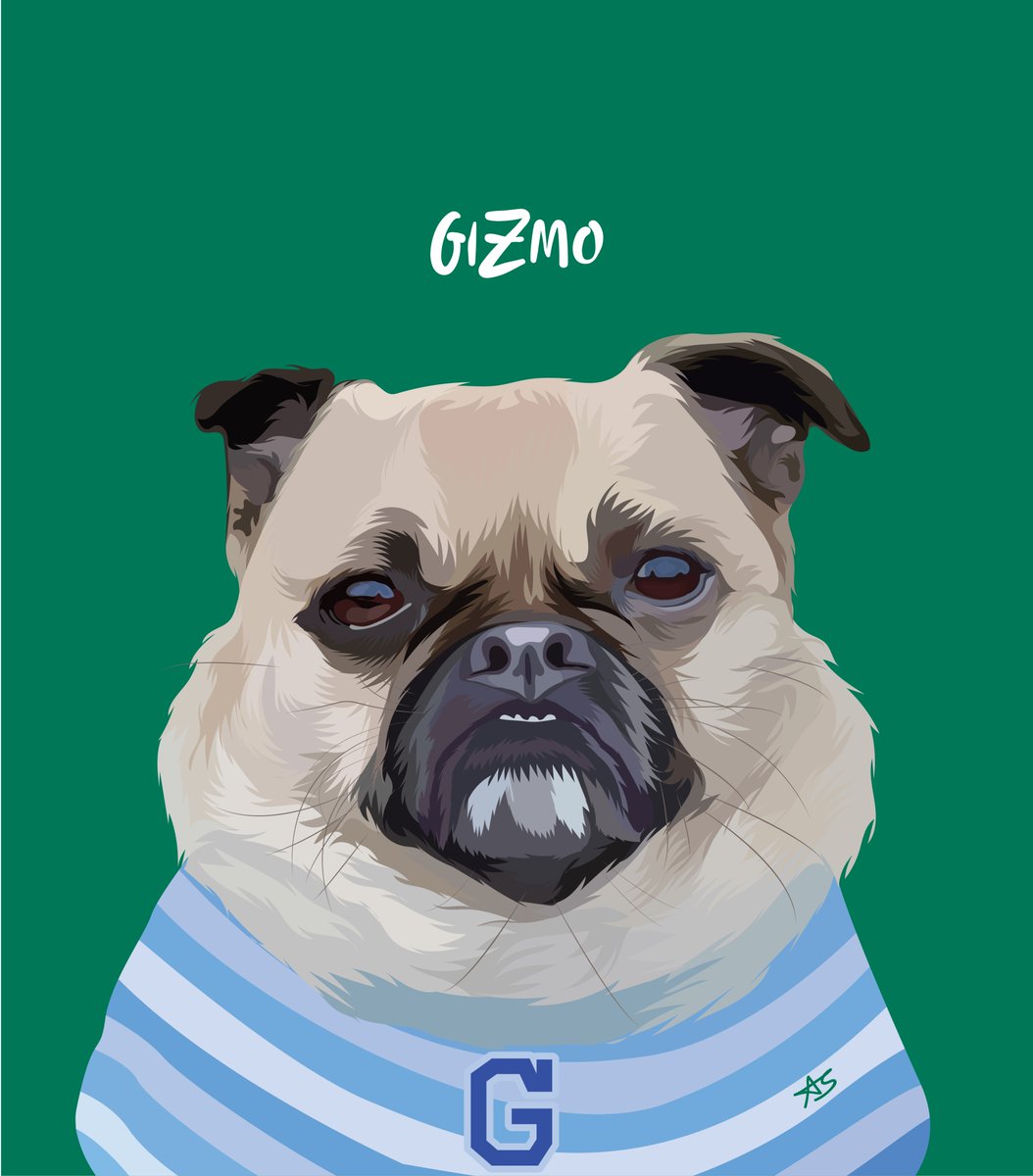 shaon_designer's tweet photo. Pug Portrait illustration.
For More: https://t.co/ajFD8E5CdL

#pet #portrait #pawtrait #pugart #dogdrawings #petpaintings #animalpaintings #art #animalart #artist #animalartist #petportrait #vectorart #vectorillustration #petvector #animallover #digitalart #custompetportrait https://t.co/RQmcFbXlUU