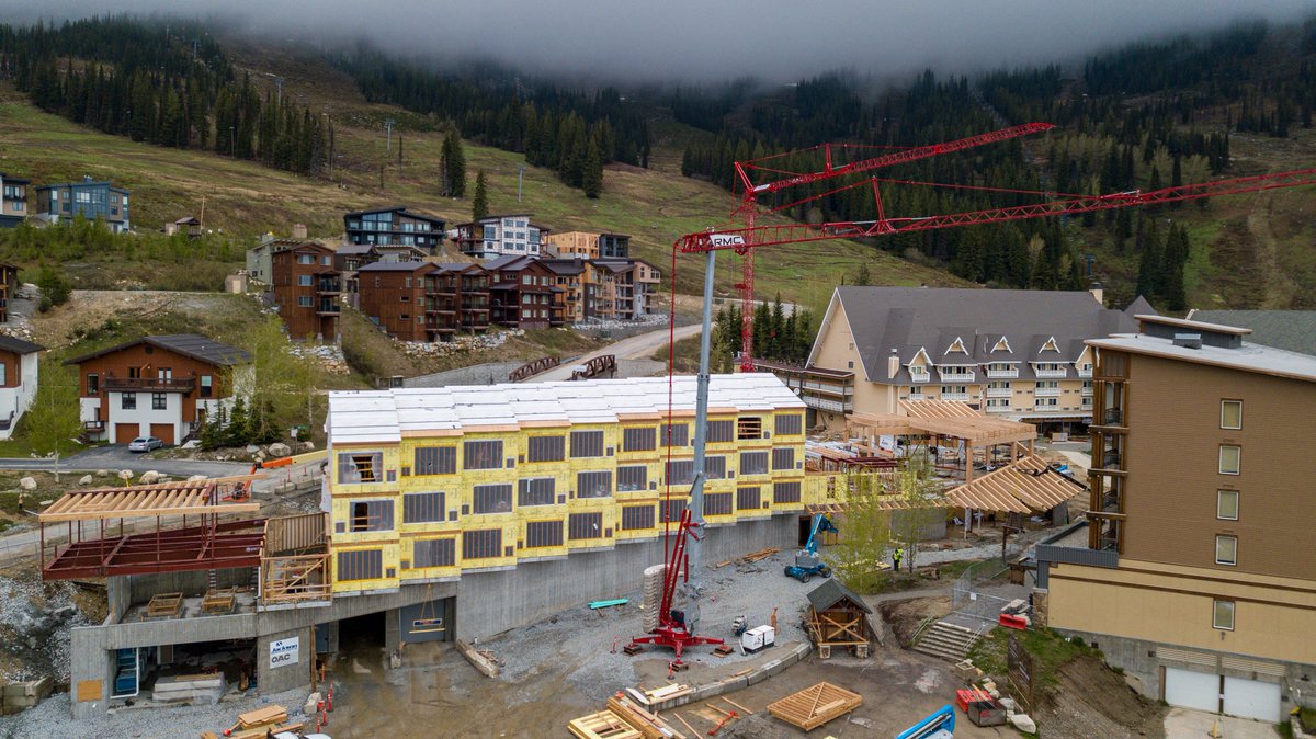 Schweitzer tweet media