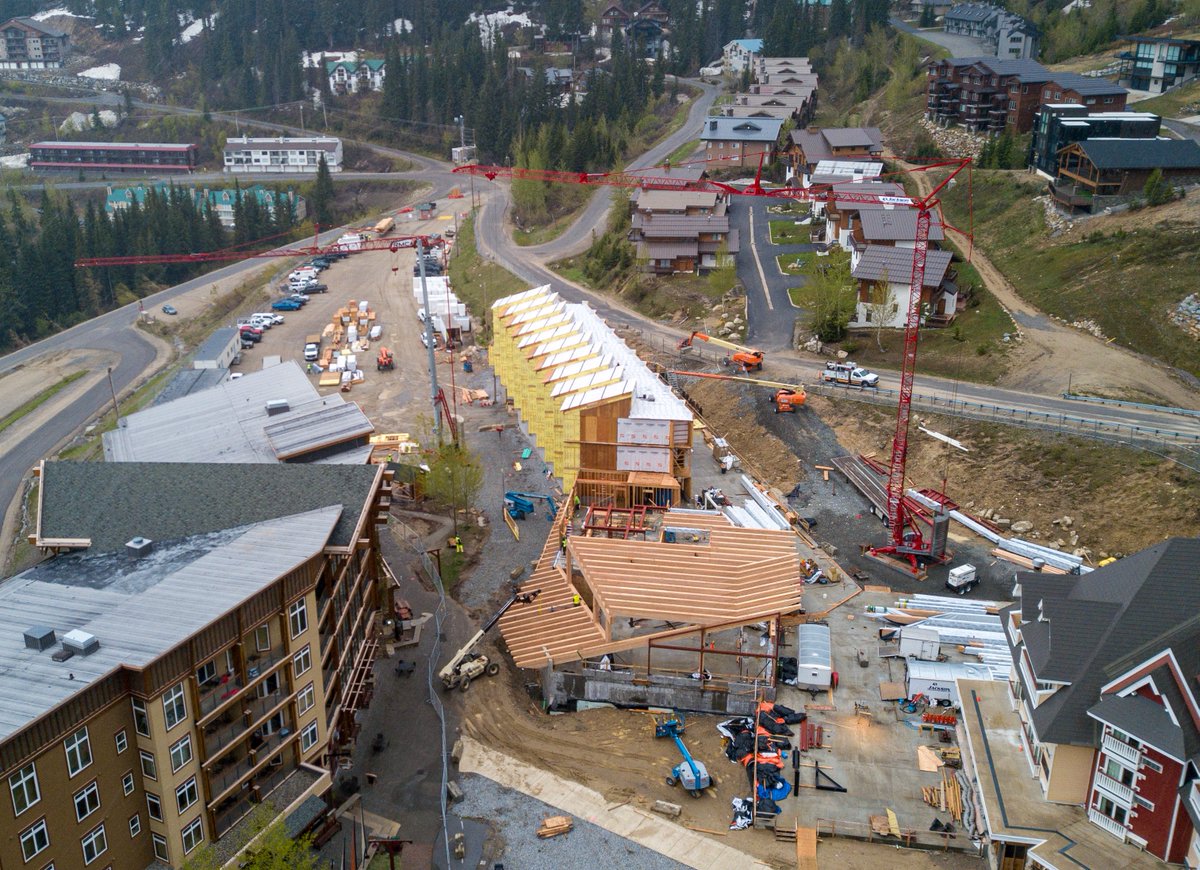 Schweitzer tweet media