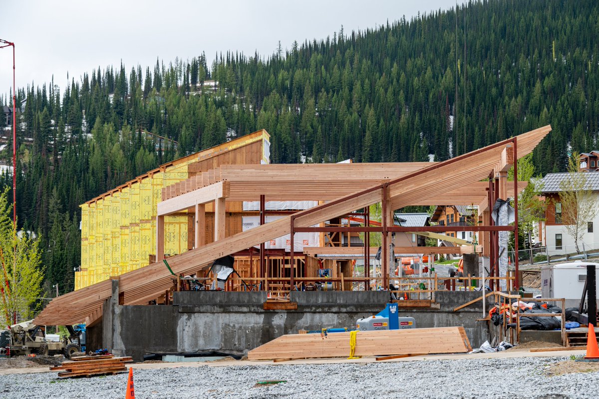 Schweitzer tweet media