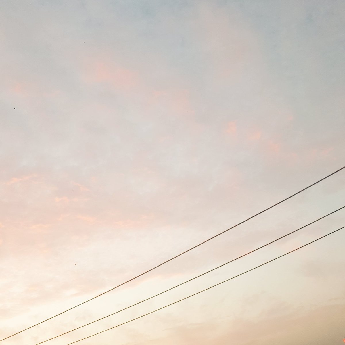 DVLSOO's tweet image. 하늘 예뻐