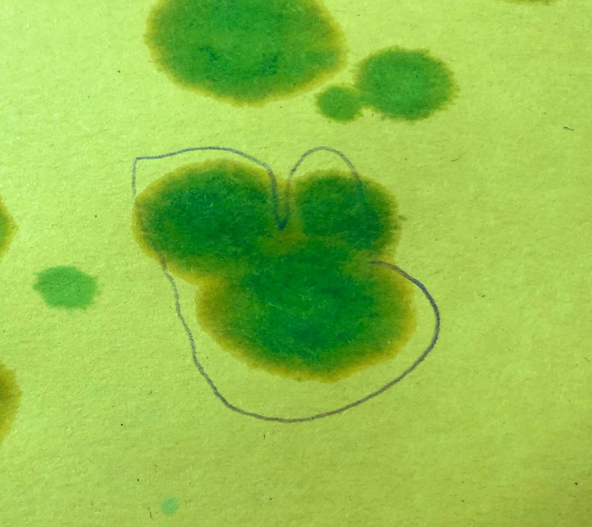 MissPatyQ's tweet photo. @STEMscopes Raindrop Art. They found a seahorse, a car, and Mickey Mouse ears. π₯° They got 3 out of the 4 STEM questions πππ @ReedElementary @MsBustamante20 @reedst_louis @MrsABrandt_ECSE #Science @CFISDScience #WeAreTeamReed #ReedPrek https://t.co/1pMFuHjEOW