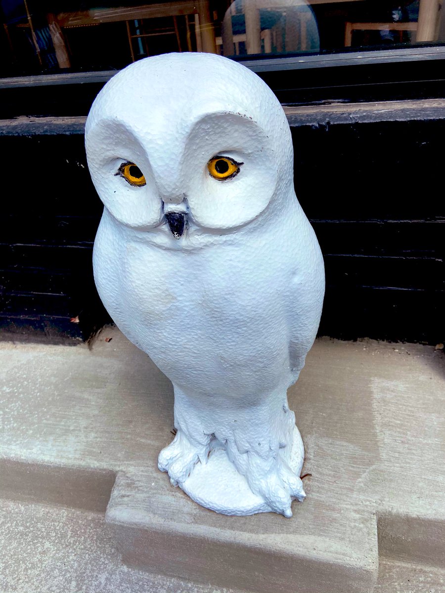 gerardwozek's tweet photo. There’s a new #owl in town: #BadOwlCoffeeRoasters! Such an exquisite offering here: their #butterbrew is a #butterscotch #espresso cloud! My #newfav #coffee @ILoveGayChicago @ILoveGayViews @ILoveGayFoodies @ChicagoEat @chifoodath @ChiCoffeeReview 🦉☕️ https://t.co/csSDvo83mJ