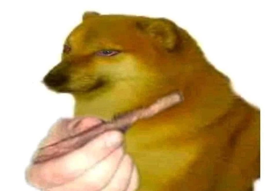 gekyyy's tweet photo. @thefuckisalommy We also high af https://t.co/IfGwTpRlXx