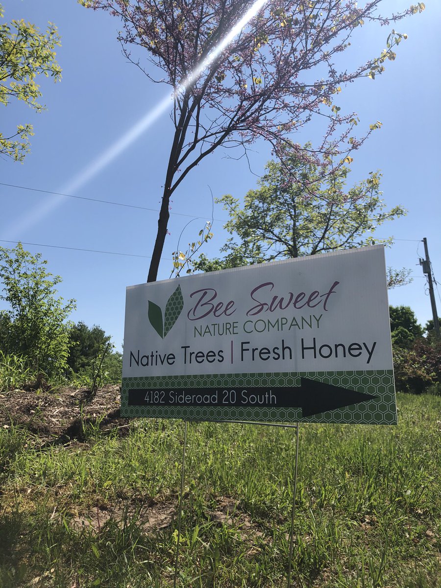 Giuliana Casimirri tweet media