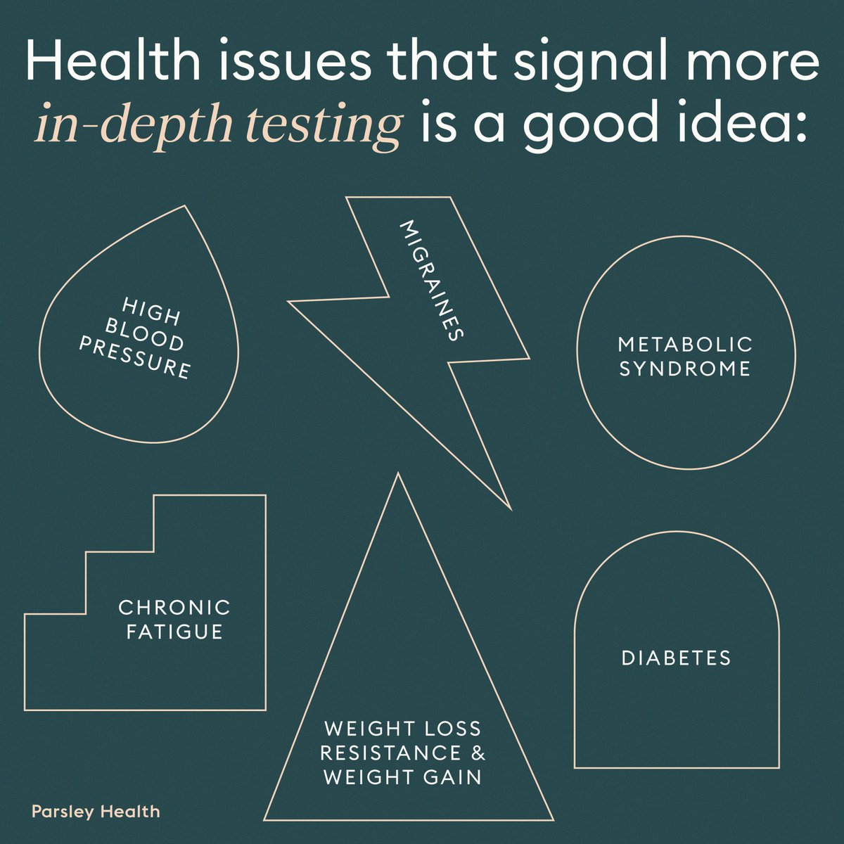 parsley_health's tweet photo. When you're a Parsley Health member, diagnostic testing goes way beyond the basic blood panel. On our blog, learn more about the in-depth testing our practitioners use to get a better idea of what’s actually going on in your body. https://t.co/QDN8IcXsYD https://t.co/RgRU0HjJRT