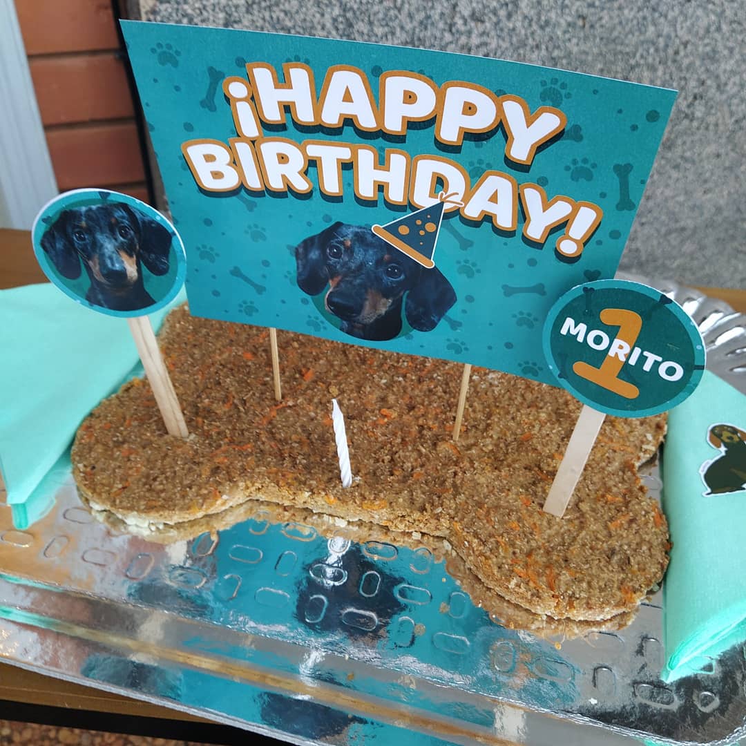 jaguafiestapy's tweet photo. Hay galletota para rato! 👑🎂🎉
Cumple? Claro. Adopción? Obvio que sí. ✨💜 https://t.co/csMVenRJGd