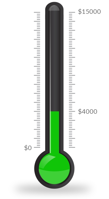 We are entering week 12 of our “15 for 15” Giving Campaign with a new total of $4000 in donations. Our goal is still $15,000 or more, so we still have a long way to go. Visit detroithbcu.org/15-for-15.html to make your donation or CashApp your donation to $dethbcu today!