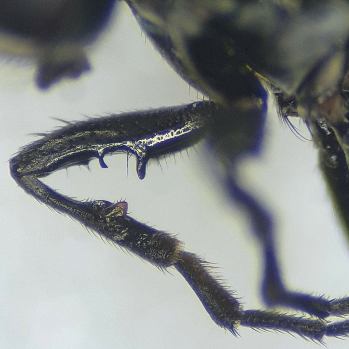 Ryan Mitchell tweet media