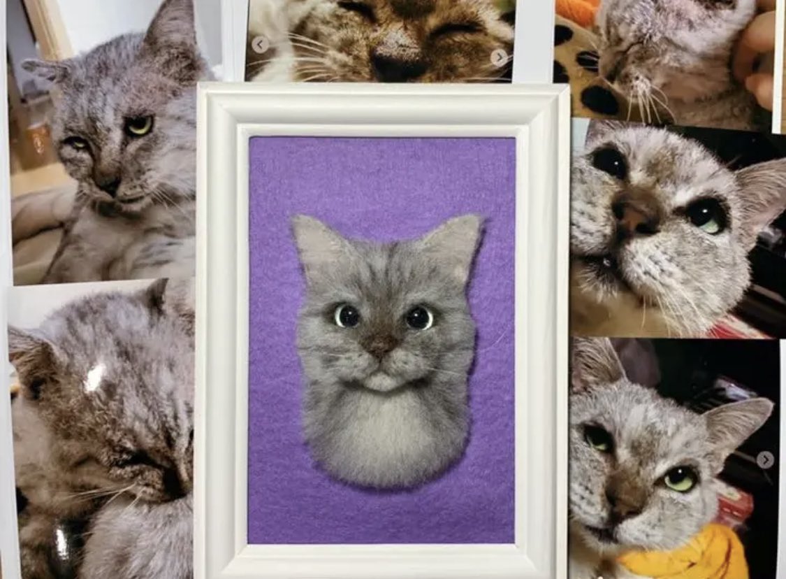 Twoucan 羊毛フェルト猫ちゃん の注目ツイート イラスト マンガ コスプレ モデル