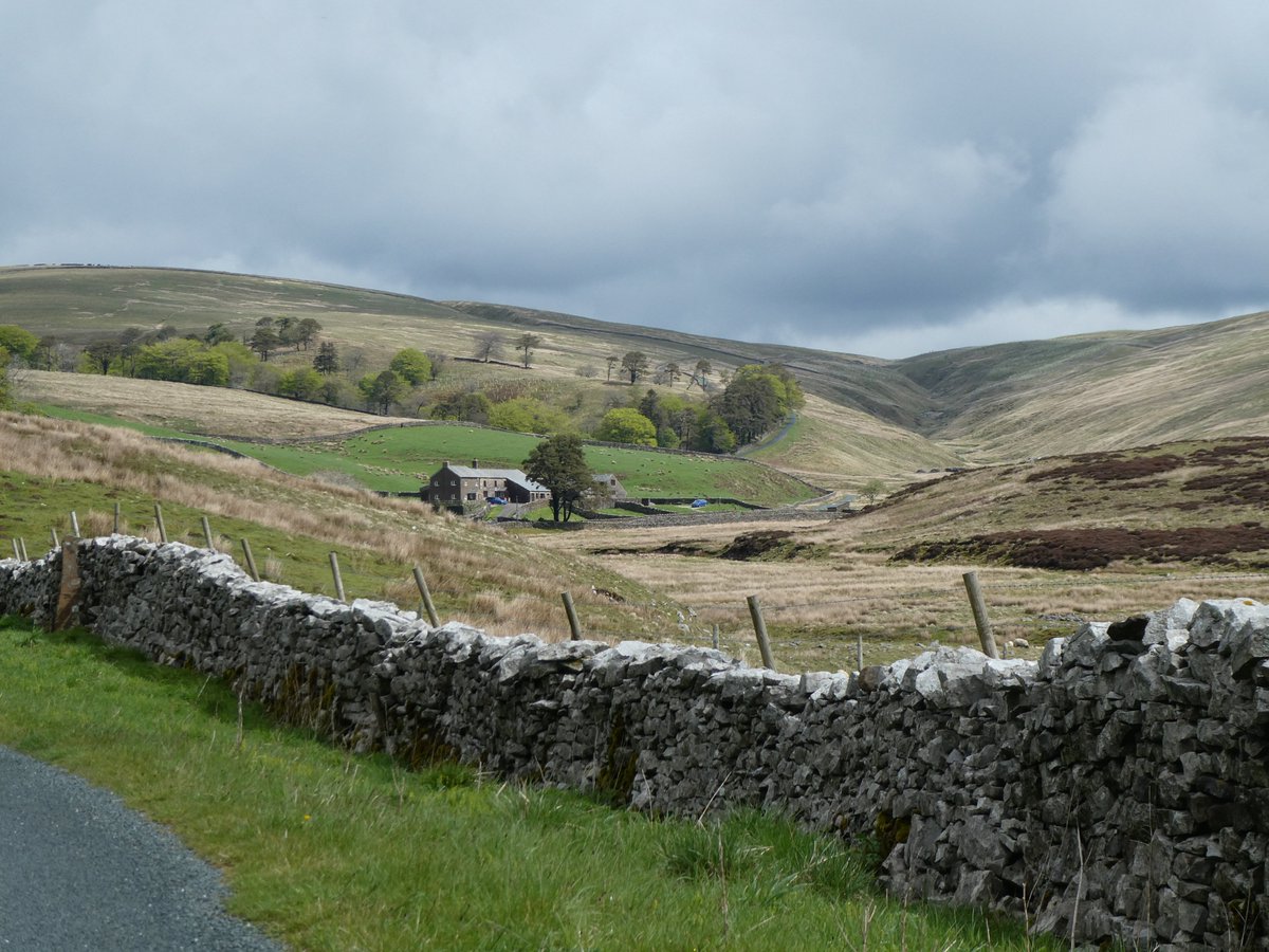 kingsdale head farm (FarmKingsdale) Twitter
