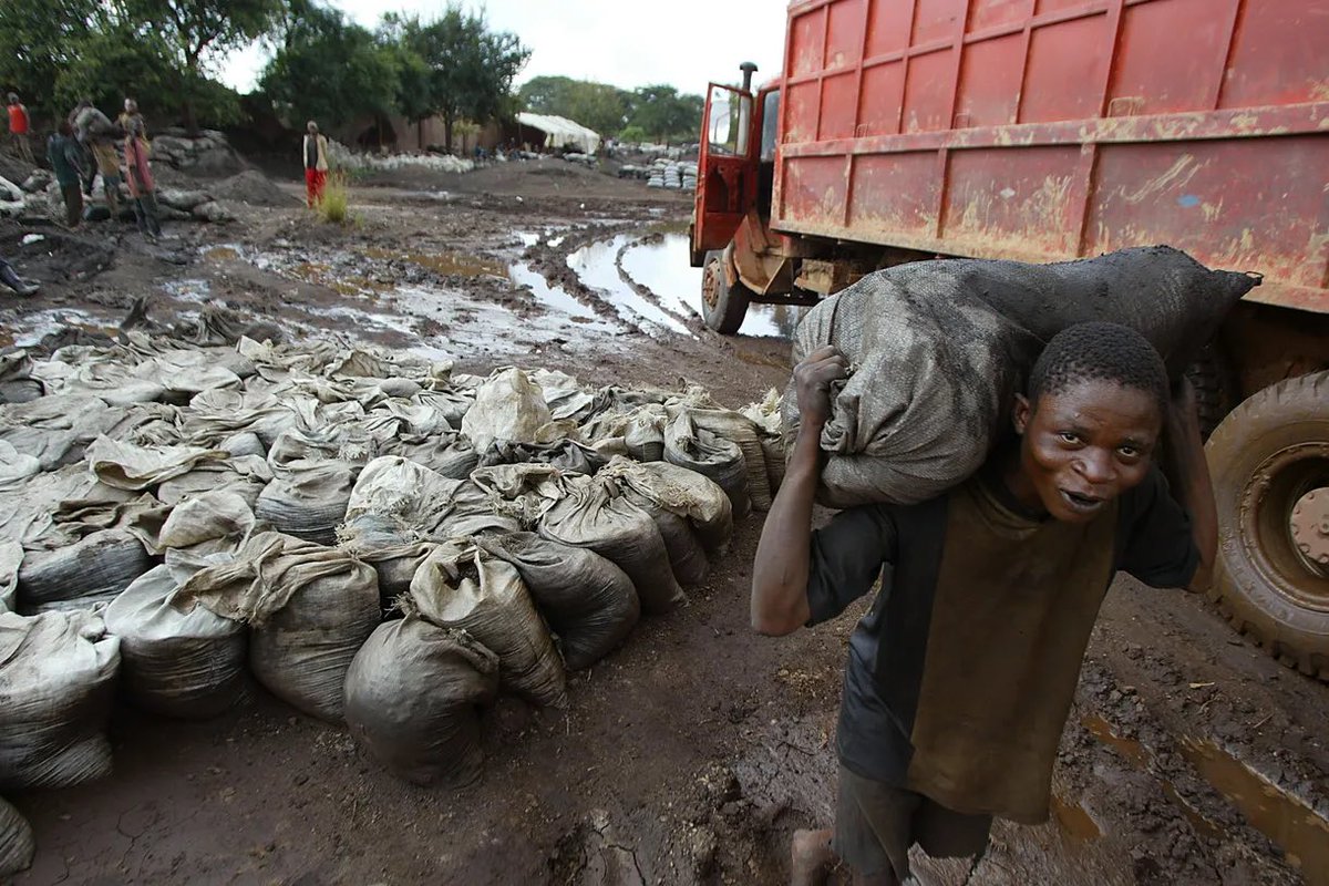 mtcbtc's tweet image. Hey @elonmusk - when meeting with Congolese minors?