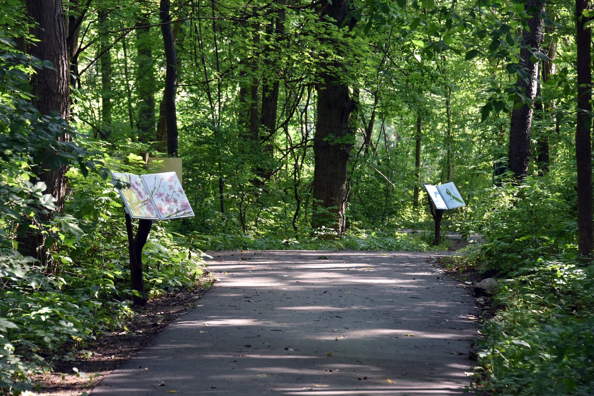 OCParksAndRec's tweet photo. ❤️ @MichiganAHA is encouraging 2021 Heart Walk participants to "walk where you are," and choose your favorite trail for this year's event. We hope you'll choose one of our parks to walk at! #DetroitHeartWalk #AHAMI
Plus, if you find hearts along the way, tag us in your photos! https://t.co/roMJHxRHoi
