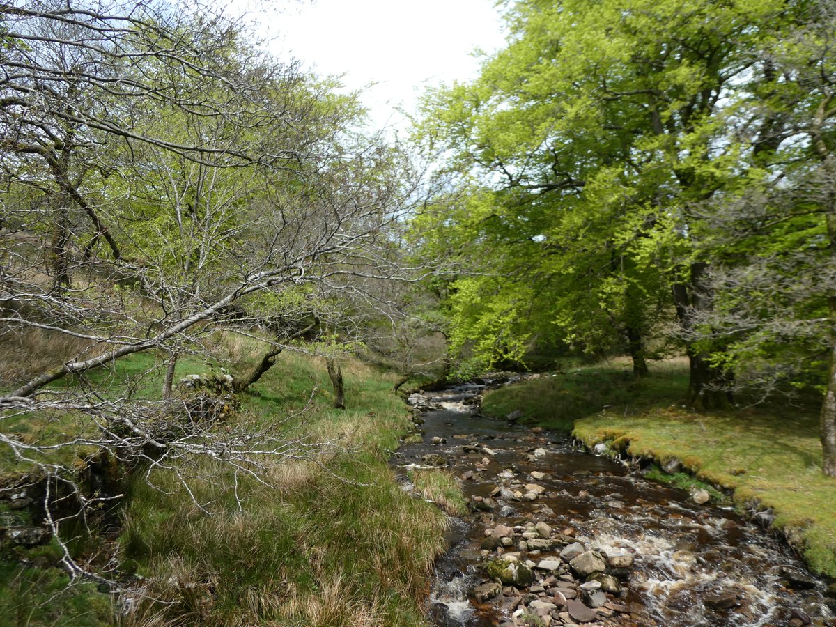 kingsdale head farm (FarmKingsdale) Twitter