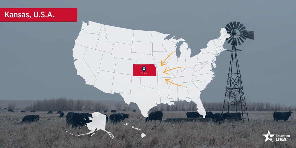 American Spaces Jos tweet media