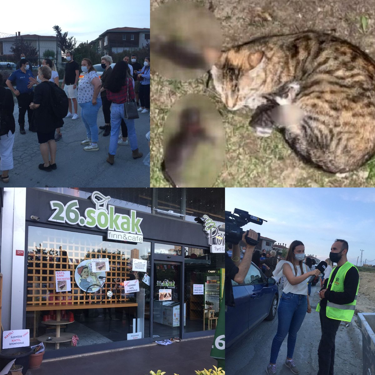 Eşimi tırmaladı diye eline küreği alarak anne kediye saldıran ve yavrularını öldüren caninin sahibi olduğu Bahçeşehir’deki 26sokak adlı işletmenin önünde gerçekleşen protestada <a href="/hacikodernek/">Haçiko Derneği</a> ve <a href="/genchaciko/">Genç Haçiko</a> olarak yer aldık. Mesajımız net ve tekti #yasahalaneyibekliyor.