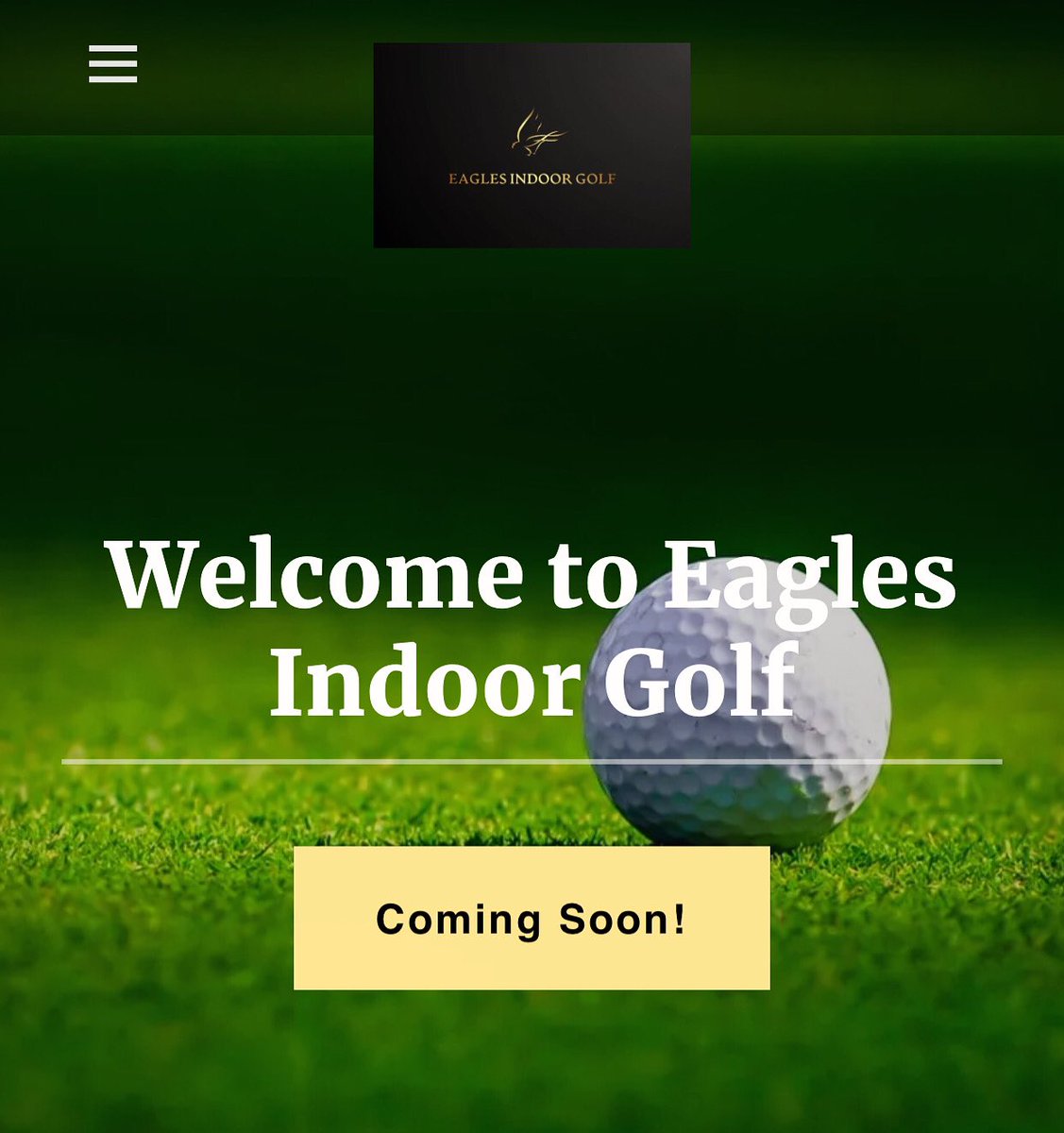 EaglesIndoorGolf tweet media