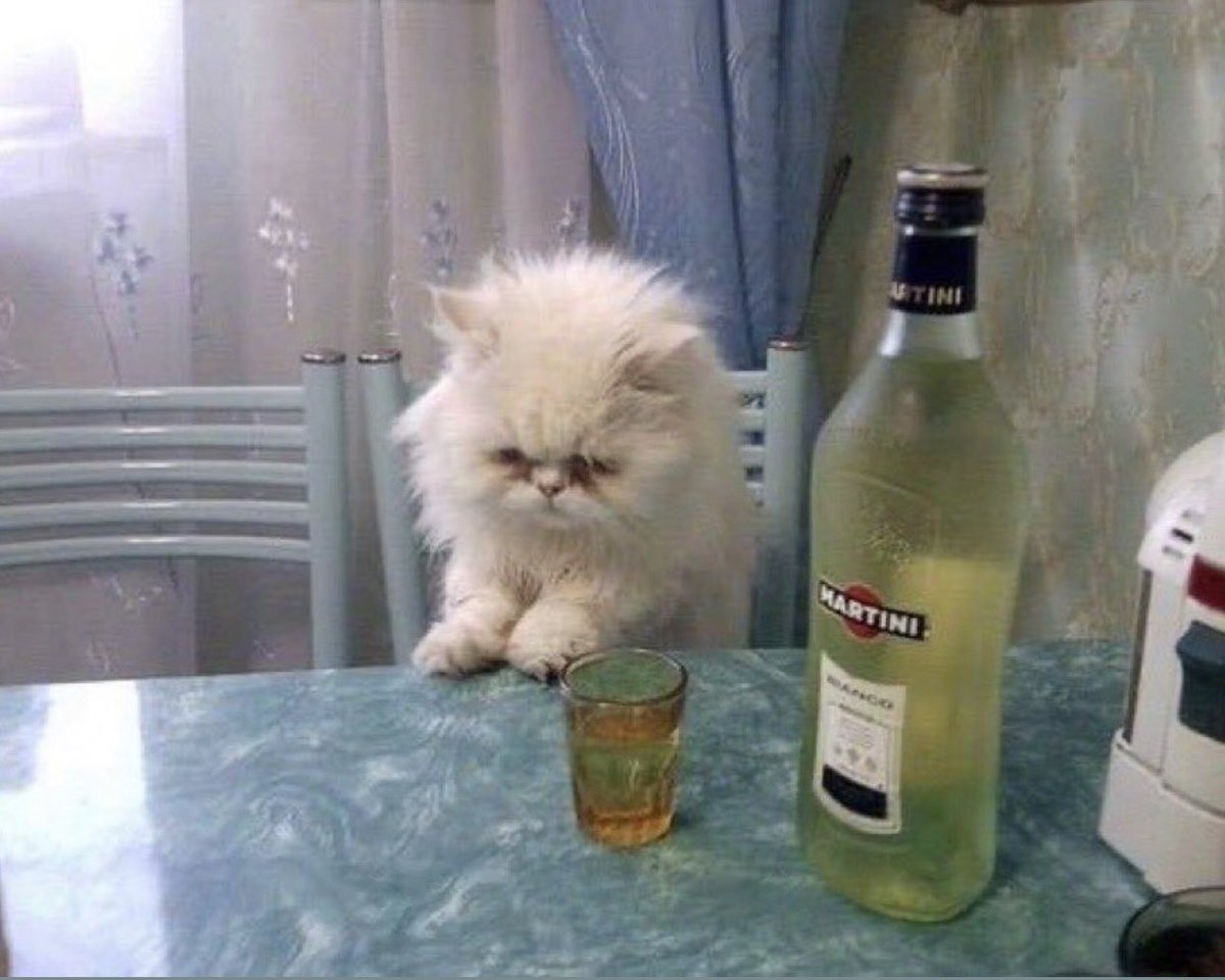 "¿Qué tal la semana?"