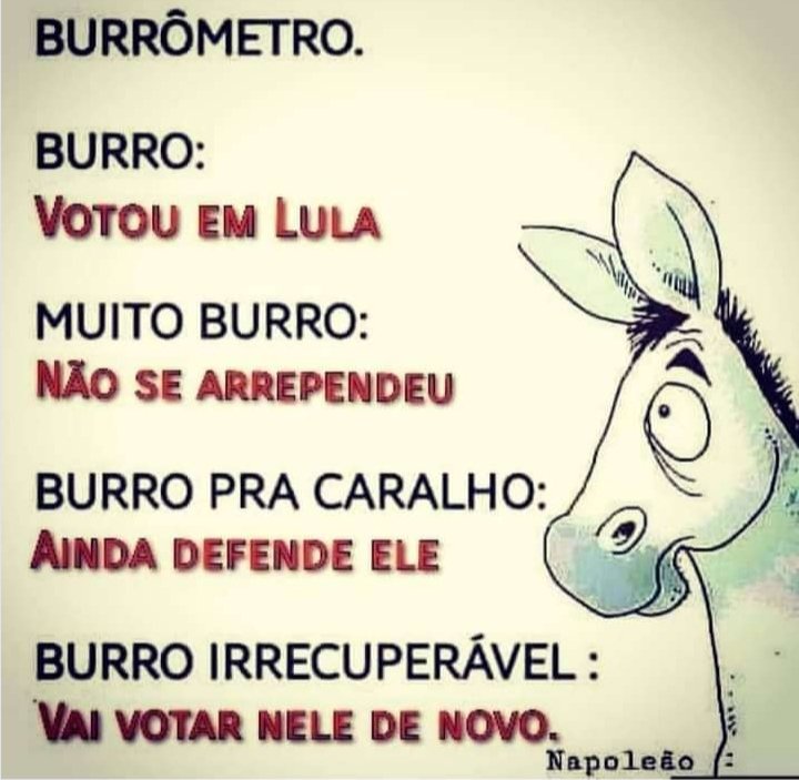 Marmengao2's tweet photo. @consoni_flavia @jairbolsonaro Mais uma detectada! https://t.co/gXQFY0S8p3