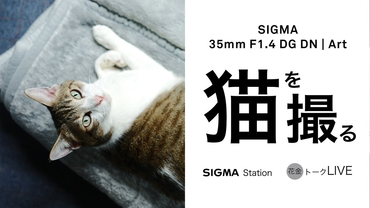 株式会社シグマ 今週の 花金トークlive は 新製品のsigma 35mm F1 4 Dg Dn Artで モフりながら撮った 猫 の写真を中心に新生35mmの魅力を存分にご紹介します どうぞお楽しみに T Co kcwxaugy Sigmafpl Sigmafp Sigma35mmf14art L 株式会社シグマ 今週の 花金トークlive は 新製品のsigma 35mm F1 4 Dg Dn Artで モフりながら撮った 猫 の写真を中心に新生35mmの魅力を存分にご紹介します どうぞお楽しみに T Co kcwxaugy Sigmafpl Sigmafp Sigma35mmf14art L