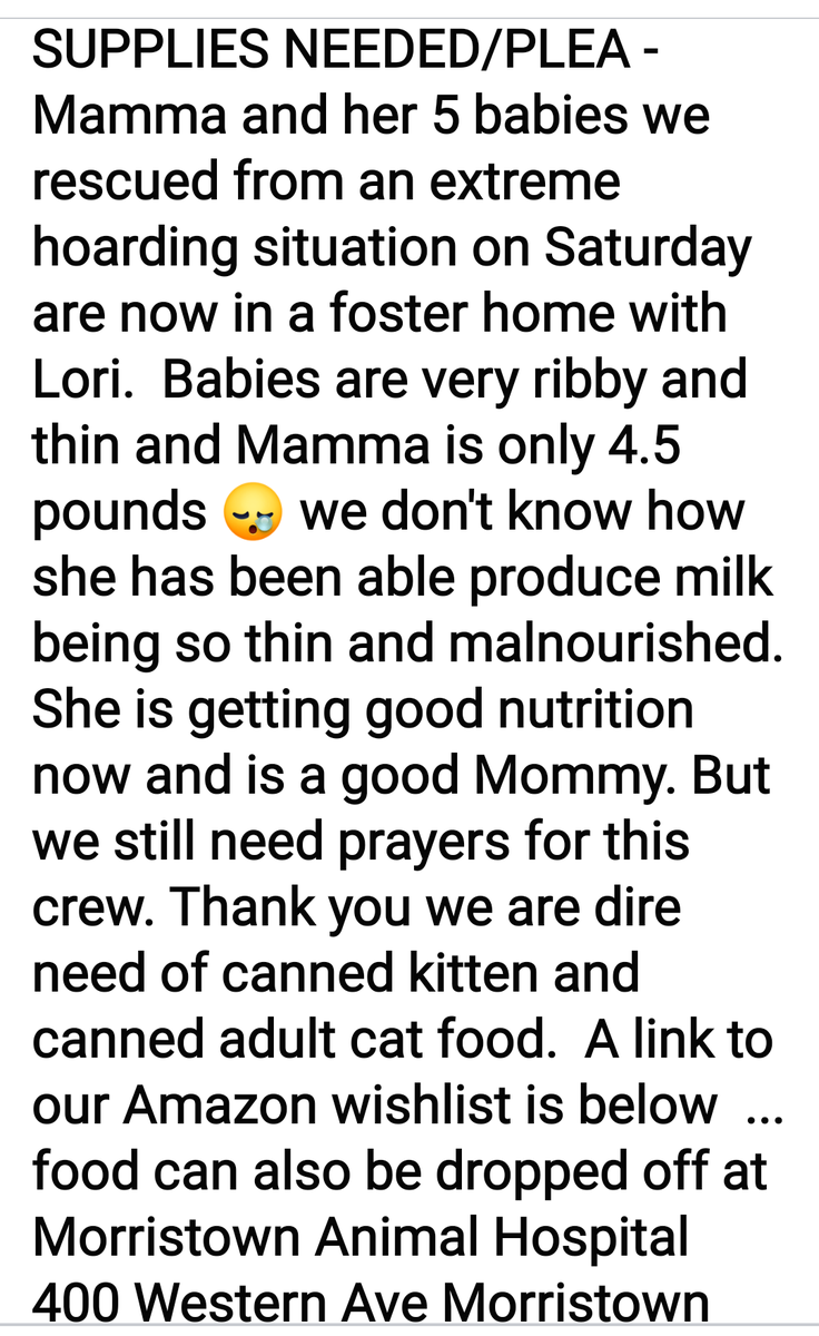 Rescue911kitty's tweet photo. @iDenville @elvisduran @MorristownAgway @petsuppliesplus @News12NJ @fox5ny @gregkellyusa @rosannascotto @mikewoodsfox5 @Z100NewYork @ExpressiveInkNJ @PlanetFitness @CrazyForMyCat @MerrickPetCare @JacksonGalaxy @frommfamily @FussieCat @9LivesCatFood @PurinaCatChow https://t.co/FDo4SuwVbt