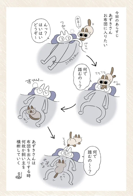 なんで踏むの～? #シャム猫あずきさんは世界の中心 