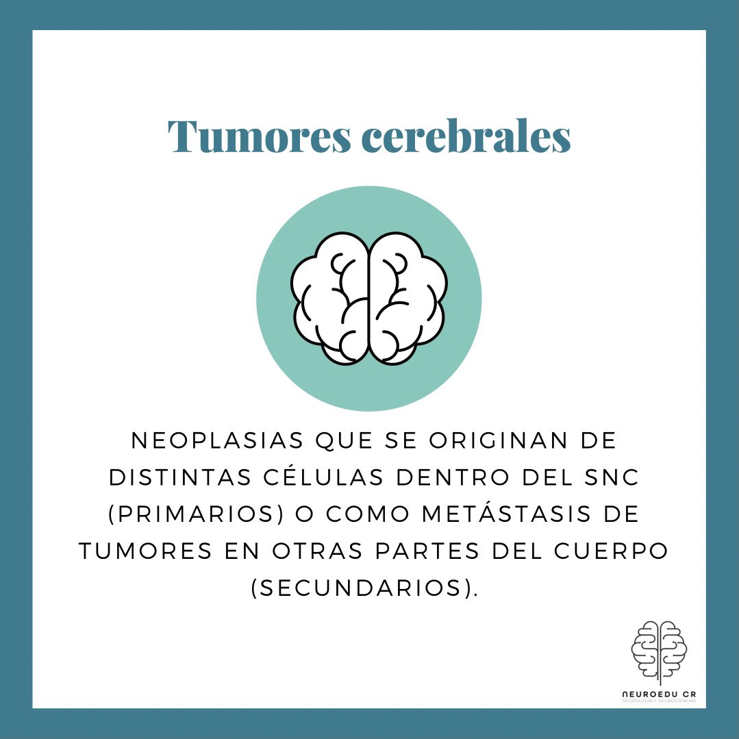 neuroeducr's tweet photo. ¿Qué son los tumores cerebrales? ¿Cuáles son sus características? Por acá un poco de información al respecto #neurology #neurologia #neurocirugia #braintumor #NeuroTwitter https://t.co/bjeHgGES4Q