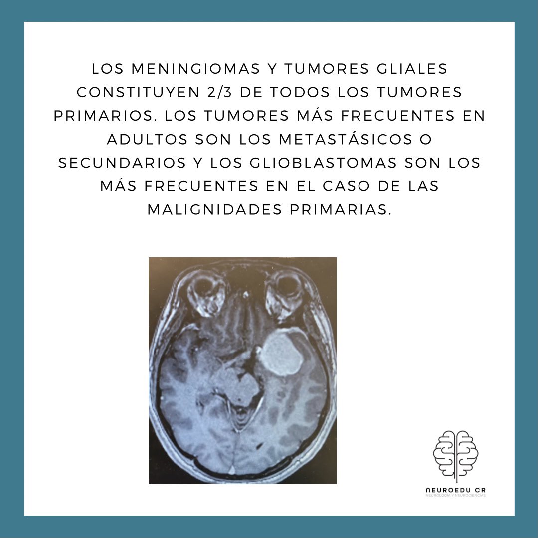 neuroeducr's tweet photo. ¿Qué son los tumores cerebrales? ¿Cuáles son sus características? Por acá un poco de información al respecto #neurology #neurologia #neurocirugia #braintumor #NeuroTwitter https://t.co/bjeHgGES4Q