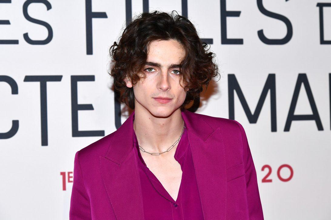Timothee Chalamet lands Willy Wonka prequel role