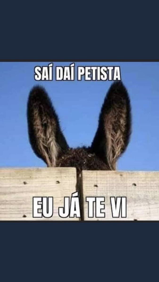 Marmengao2's tweet photo. @zesincerao @jairbolsonaro https://t.co/fR2r4lPtVg