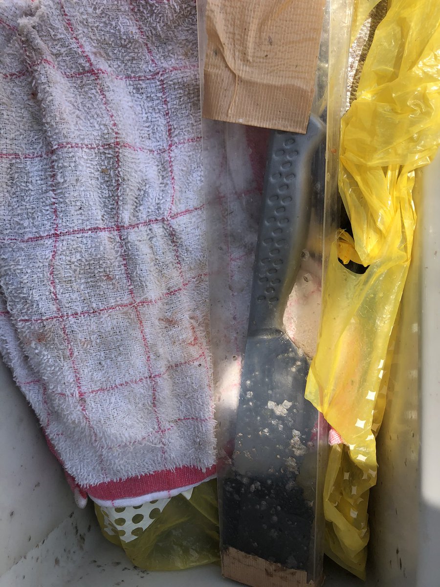 さえ イサキのお刺身と卵巣焼き 生ハムと自家製スプレッドとグリーンオリーブ いちごとクレソンとブッファラのサラダ 眠い眠いもう限界