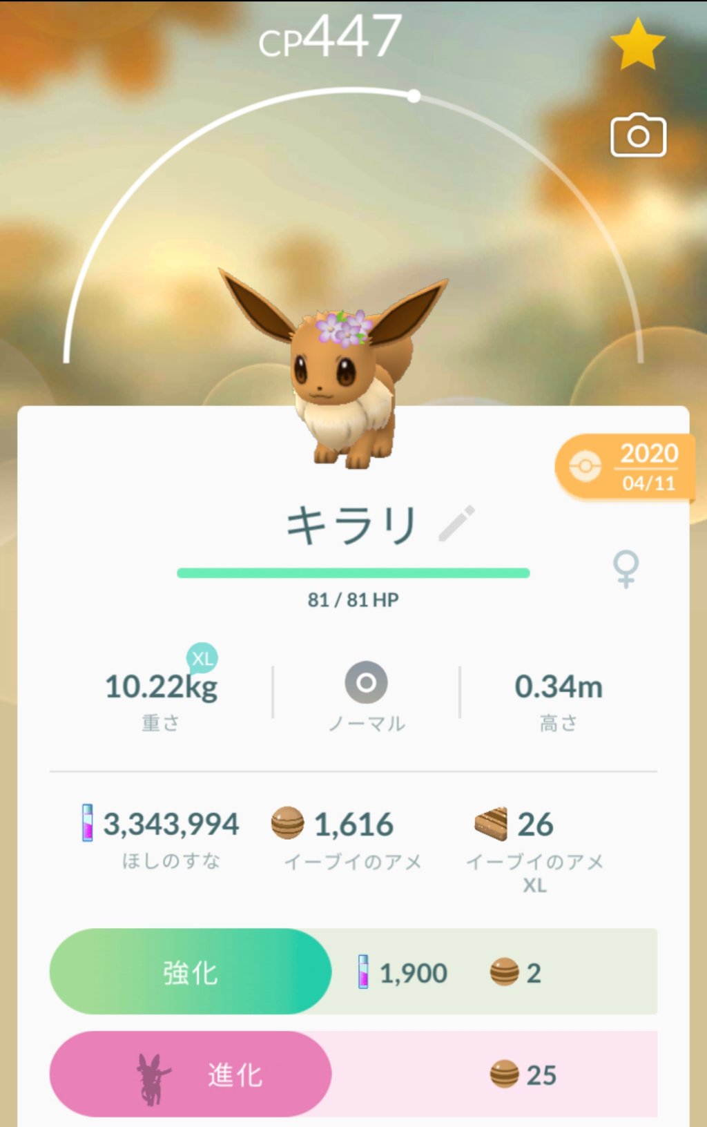 تويتر 溝口 泰成 على تويتر 今日からイーブイを ニンフィアに進化させられる ということで 一度だけ可能な 名前付け進化を 花飾りイーブイに対してやってみました 名前を キラリ に変えて進化 花飾りが似合う 可愛いニンフィアになってくれました ポケモンgo