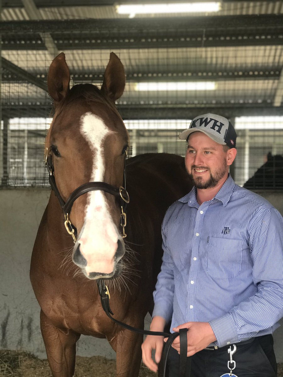 KitchwinHills's tweet photo. Lot 601 Time Is Precious β° realises $620k knocked down to The Written Tycoon Syndicate VIC @mmsnippets a Stakes winning mare with plenty of residual value & she has the most beautiful attitude as well! From the family of Group 1 winner LOTTERIA #qualityfilly @GRyanRacing https://t.co/2xnvrAueBz