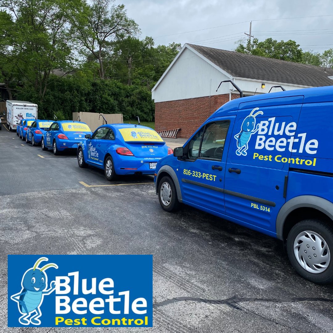 SO. MUCH. BLUE. 💙💙😍

Happy monday everyone! Just a reminder that with all this rain we are having is making mosquitoes happy👎

Make sure to clear any puddled water so those mosquitoes stay away! 👍