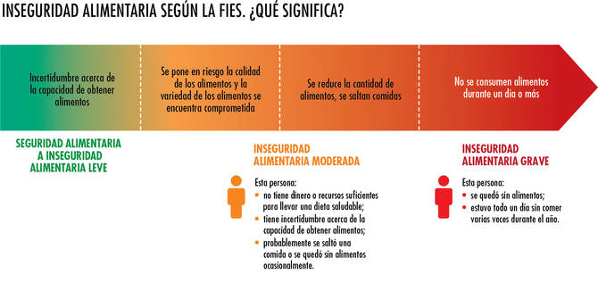 FAOEcuador's tweet photo. ⁉️ ¿Cuándo una persona padece #inseguridadalimentaria? 

ℹ️ Cuando carece de acceso regular a suficientes alimentos inocuos y nutritivos para un crecimiento y desarrollo normales y para llevar una vida activa y saludable.

📈Conoce más en la siguiente gráfica: https://t.co/KmjsMW9dQV