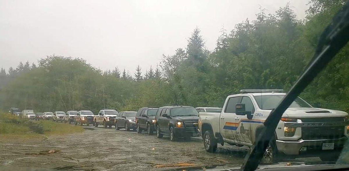 I’m dreaming of a future where we invest in each other, in our communities, and in stable, respectful economies, not in sending dozens of cops onto logging roads on stat holidays to arrest Indigenous land defenders and other activists standing up for remaining ancient forests.